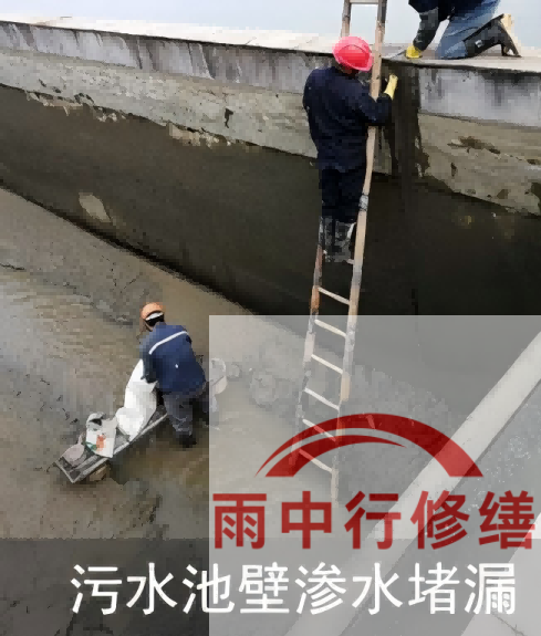 镇江2026年防水龙头半月两次涨价，行业格局重塑信号