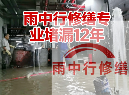 镇江中国五矿某大型污水处理厂堵漏案例